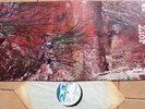 Lp: ZIOR NEPHENTA ORIGIINAL F.O.C. 1971, U.K.