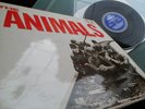 Eric Burdon & Animals   - The Animals -   TOP CONDITION