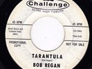 Instrumental Surf/Rocker 45 - Bob Regan - 