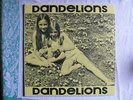 DANDELIONS S/T private folk pop LP RARE unplayed 1971