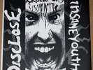 DISCLOSE / INSANE YOUTH split 7