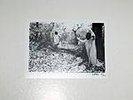 Sunn O))) – White Box  -  Earth Boris Doom Electric Wizard LP