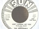 Teen Group 45-Teenangels-Ain't Gonna Let You-Sun 388-PROMO-VG++ NICE
