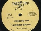 Junior Biggs - Struggling Time + Chaka - Time & Season   ???