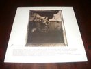 Pixies | Surfer Rosa | LP