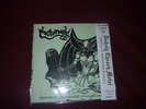NOCTURNAL /ARMOUR Split 7