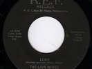 THE LIVE WIRES Love 45 R.E.F. rare garage fuzz Pennsylvania