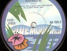 STEVE RYDER (TED MULRY): Remember Me (UK Blue Mountain 45)