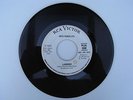 ace mod garage - 49th parallel - laborer - listen