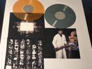Tool Aenima Vinyl 2xLP – Gold & Grey repress