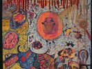 THE GOLDEN CUPS Super Live Session Garage LP on CAPITOL Chen Shinki Red Wax