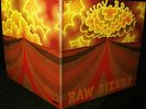 CLEAN 1970 Orig SAVOY BROWN   RAW SIENNA    MASTERPIECE Hard BLUES Chris Youlden