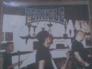 Perkele-Voice of Anger LP mit original Autogrammen // Oi Punk RAC Skin RAR