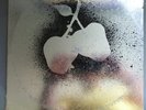 Silver Apples, Self Titled (Kapp KS-3562 LP VG+/VG+)