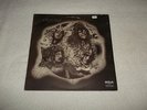 RARE Prog Rock UK RCA LP Riff-Raff 1973 EX+