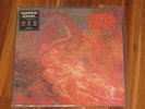 MORBID ANGEL 
