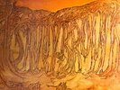 SEALED LP SAVOY BROWN LONDON PAS-71027 orig NM Blue Matter