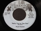 Wynd Chymes   Baby You're the One   Shakin'   modern soul / boogie 45 HEAR