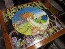 Peter Stark - Mushroom Country - Original Press VINYL RARE - folk PSYCH NM