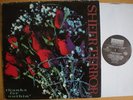 SHEER TERROR - thanks for nuthin' LP * NY HARDCORE warzone H2O Madball RARE 1992