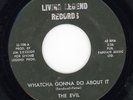 The EVIL -  Whatcha Gonna Do About It   -  legendary Florida garage band