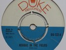 Augustus Pablo Reggae In The Fields UK Duke 45 HERMAN CHIN LOY SKINHEAD Listen