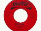 Cam Cameron-They Say-Vinyl-45rpm