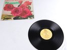 The JAYNETTS Rare Tuff Records SALLY GO ROUND THE ROSES LP