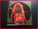 LED ZEPPELIN VINYL PICTURE DISC - CENTRAL PARK 69 -VERY RARE