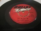 THE HIPPY BOYS 7”– WHATS YOUR EXCUSE- BULLET 413- EX - 1969