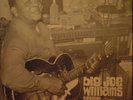 BIG JOE WILLIAMS Tough Times LP ARHOOLIE F1002 shrink wrap NM