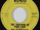 Garage Psych 45 RAINMAKERS The Treasure of Your Love BONJO HEAR