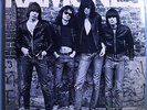 RAMONES FIRST ALBUM FIRST PRESSING FIRST CATALOG# RARE ORIG '75 SIRE PROMO LP NM