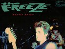 THE FREEZE - DOUBLE DOSED LP (BITZCORE) BOSTON PUNK CLASSIC / 19 SONGS