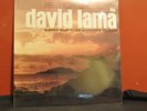 David lama 