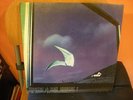 LP IL VOLO ESSERE O NON ESSERE? RARE ITALIAN PROG ORIGINAL  NUMERO UNO FOC EX