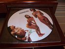THE DWARVES Blood Guts and Pussy PICTURE DISC descendents meatmen kbd melvins oi