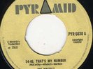 pyramid pyr6030:MAYTALS-54 46 thats my number    ?