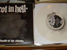 ROT IN HELL HARDCORE RARE PRORDER LP INTEGRITY RINGWORM CONVERGE NYHC COLOR SXE