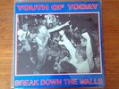 Youth of Today: Break Down the Walls. Wishingwell Records RED VINYL. Rare+Mint