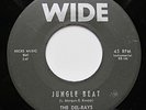 EXOTICA 45 THE DEL-RAYS Jungle Beat WIDE hear