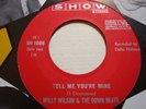 Willy WILSON & the DOWN BEATS : Mary Lee.      HOLLAND 60's