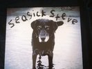 Seasick Steve 