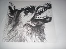 CRIPPLED BLACK PHOENIX  --  I , VIGILANTE  -  Vinyl
