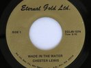 Psych Funk Sacred Steel Black Gospel 45 - Chester Lewis - Eternal Gold - mp3