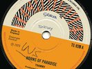 TRAMMY - HORNS OF PARADISE - KILLER INSTRUMENTAL LISTEN