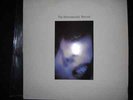THE HOMOSEXUALS   Record LP RARE it's war boys recommended records l voag insert