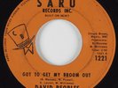 Soul Funk 45 DAVID PEOPLES Got To Get My Broom Out SARU HEAR