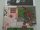 RKL - Greatest Hits gatefold lp w/booklet rich kids on lsd hc punk cali sk8 jfa