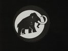 Mam – Mammut Caps Corp - Spiral tribe network 23